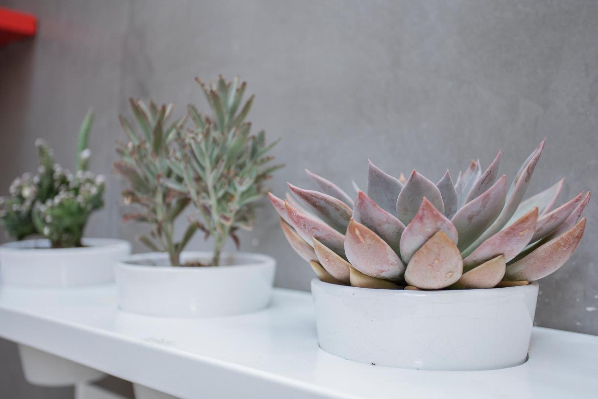 Apartamento Liiiving In - Clerigos Terrace Oporto