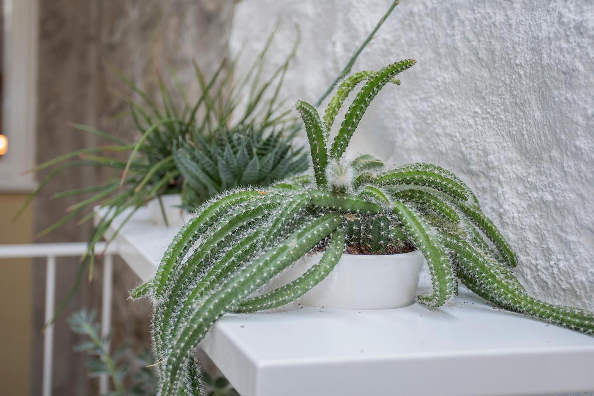Appartamento Liiiving In - Clerigos Terrace