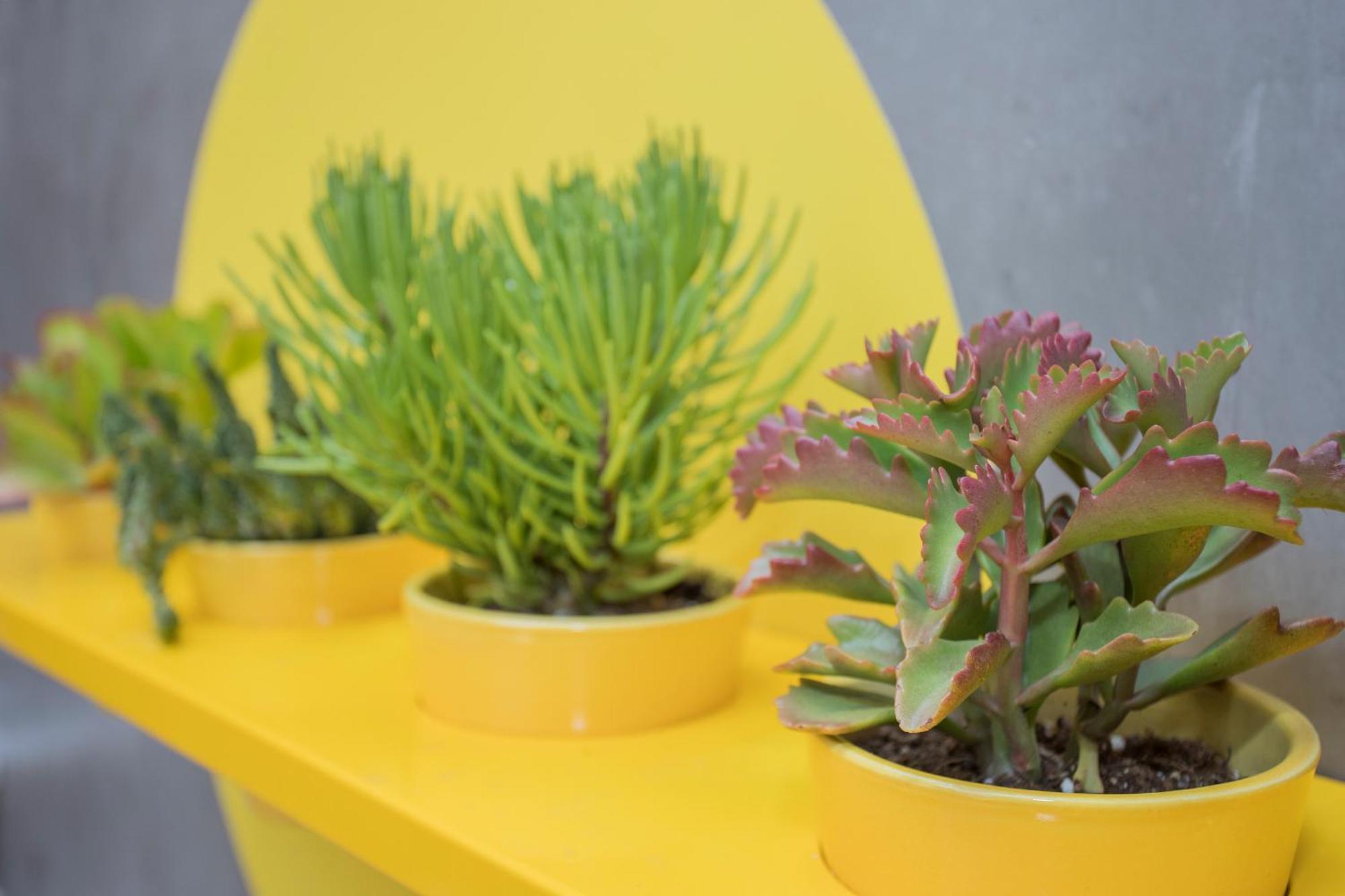 Appartamento Liiiving In - Clerigos Terrace Oporto